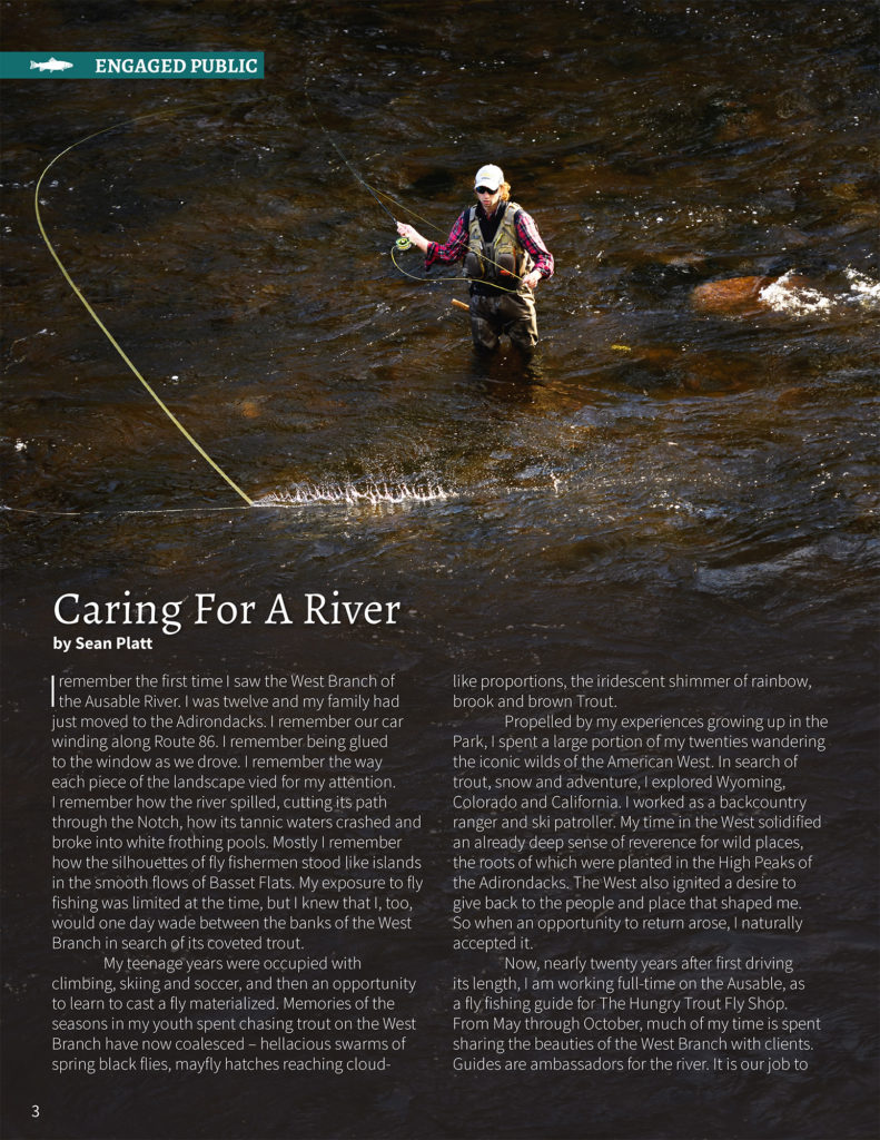 Caring For A River - Greg Koch